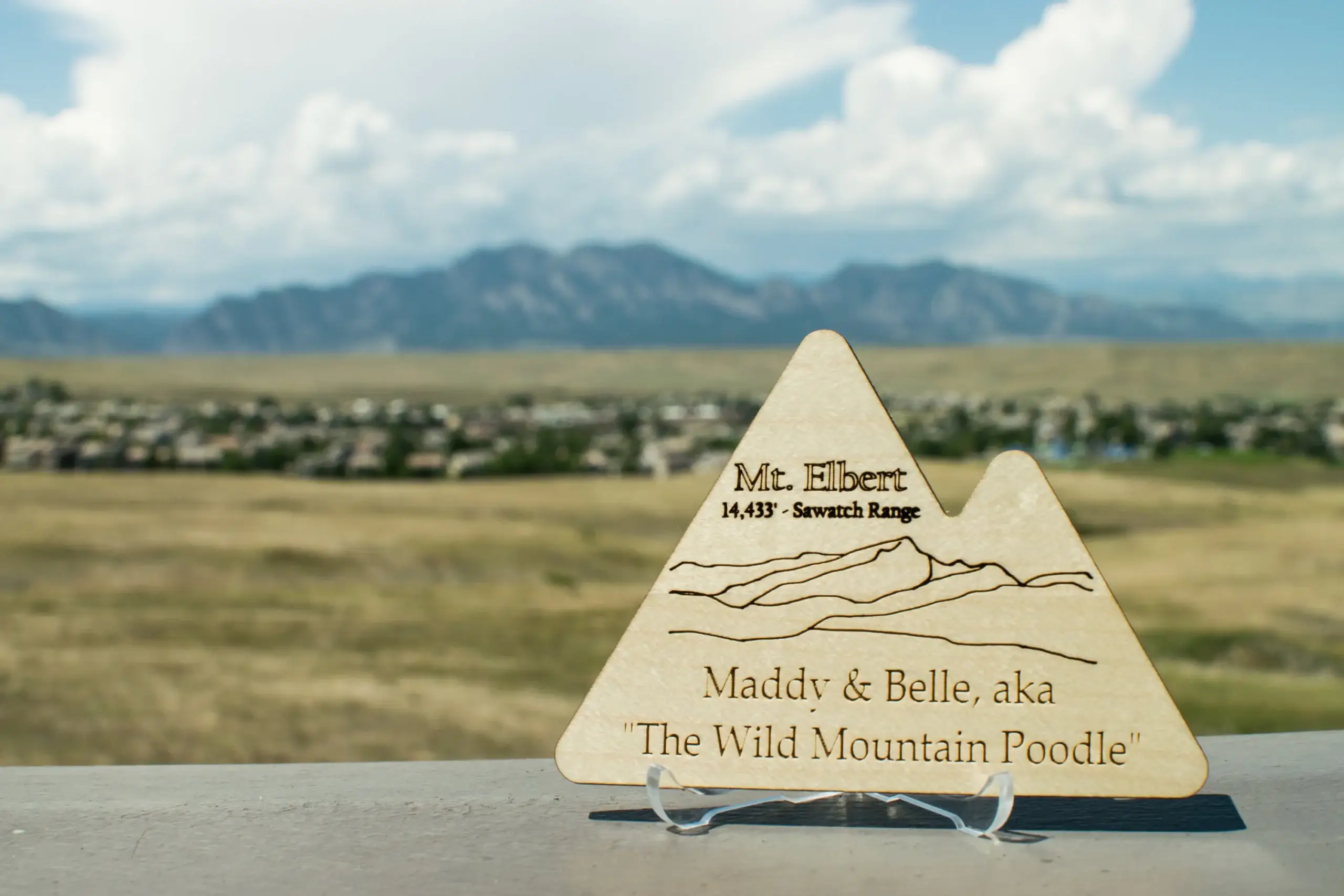 Personalized Mountain Summit Token - Image 4