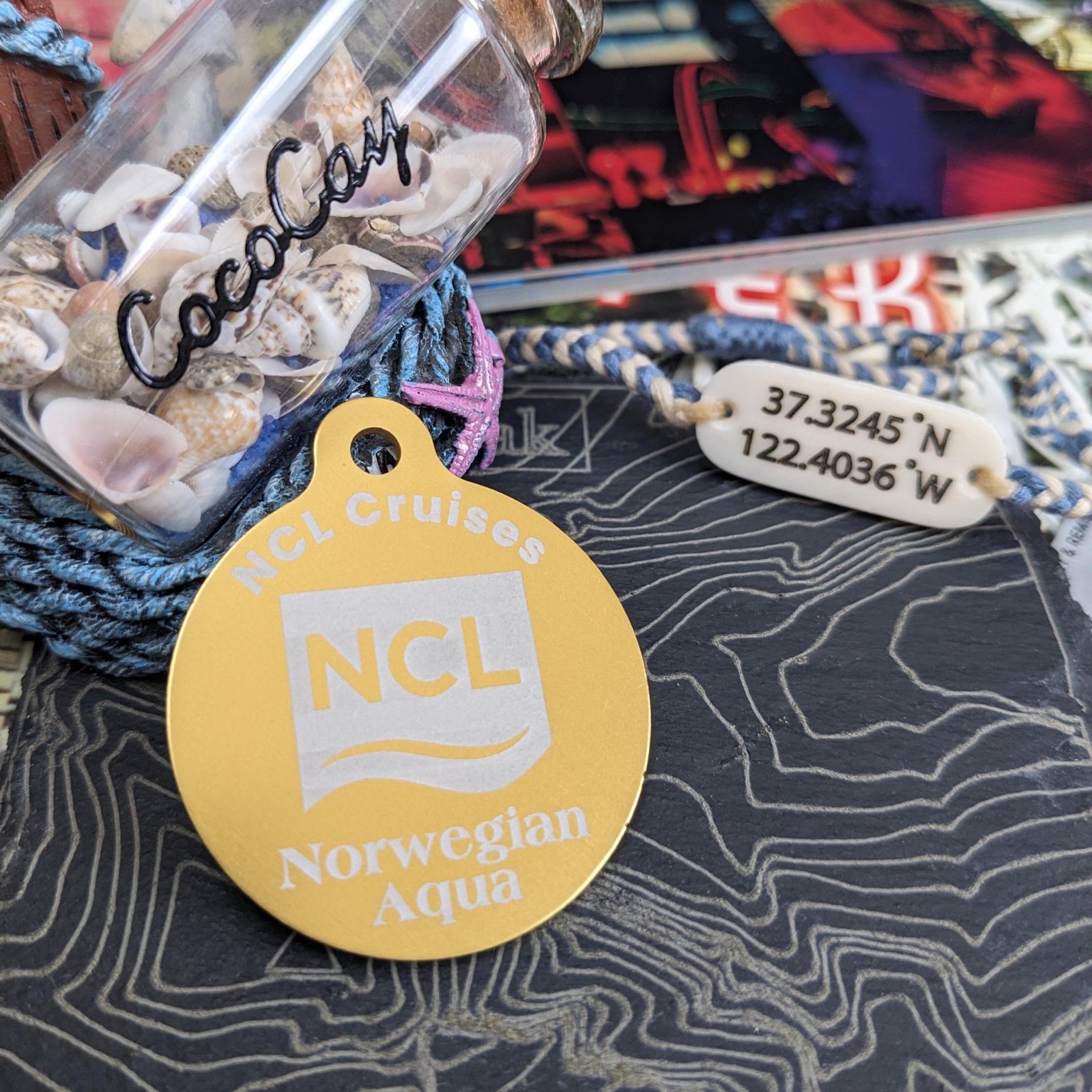 il_fullxfull.6795402347_mcqx.jpg NCL - Keepsake Metal Cruise Tags