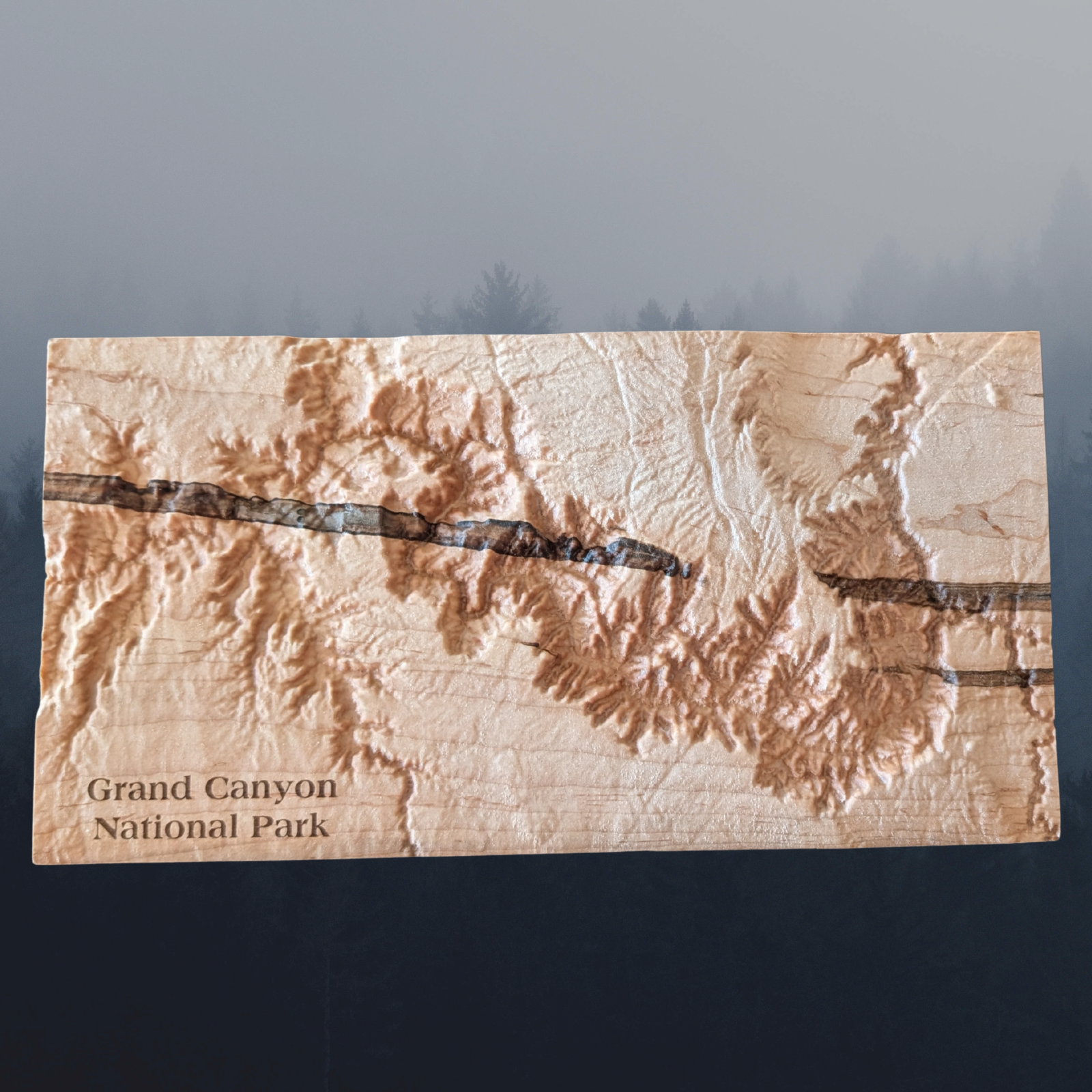 Grand Canyon National Park - Topographic Map - Image 3