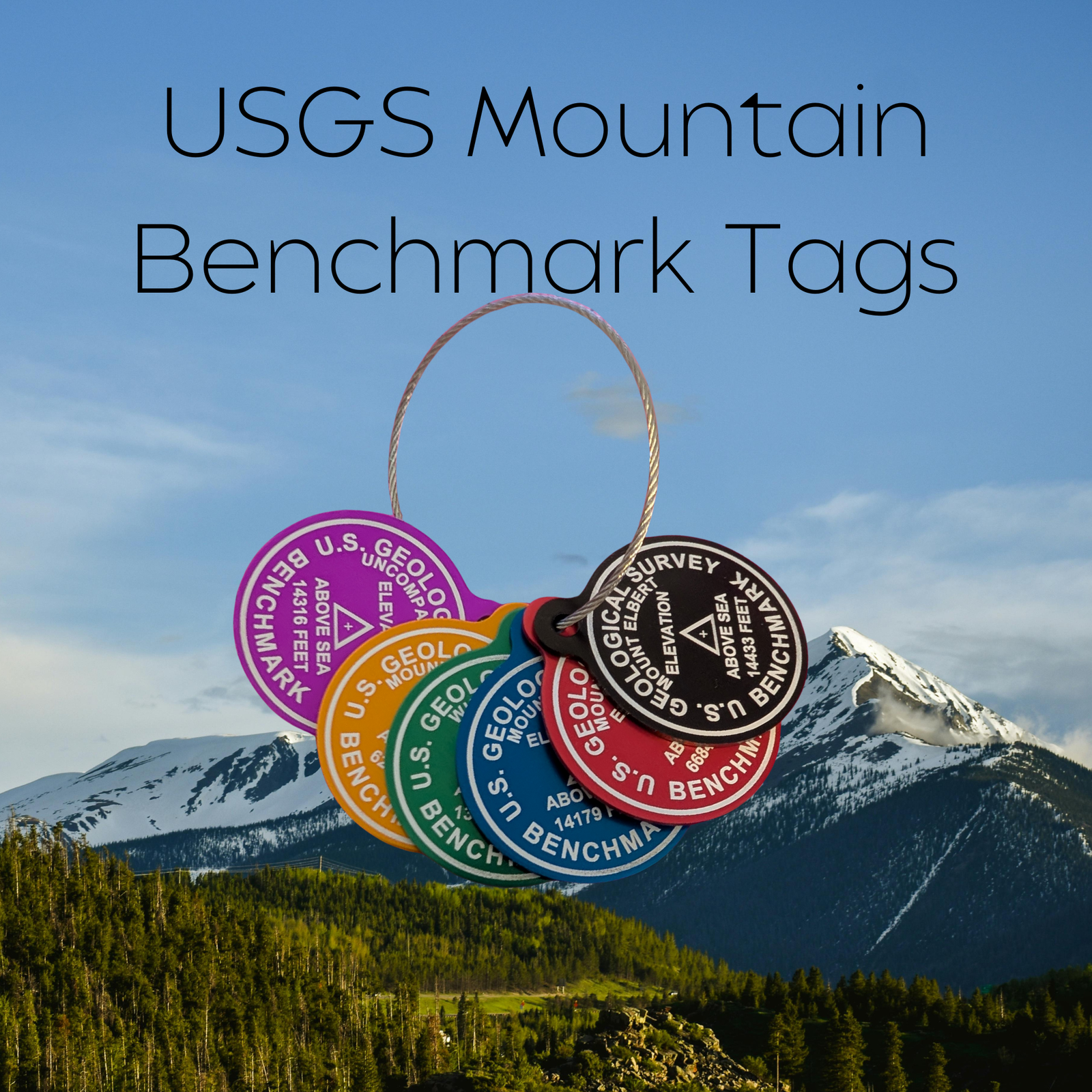 USGS Benchmark Tag