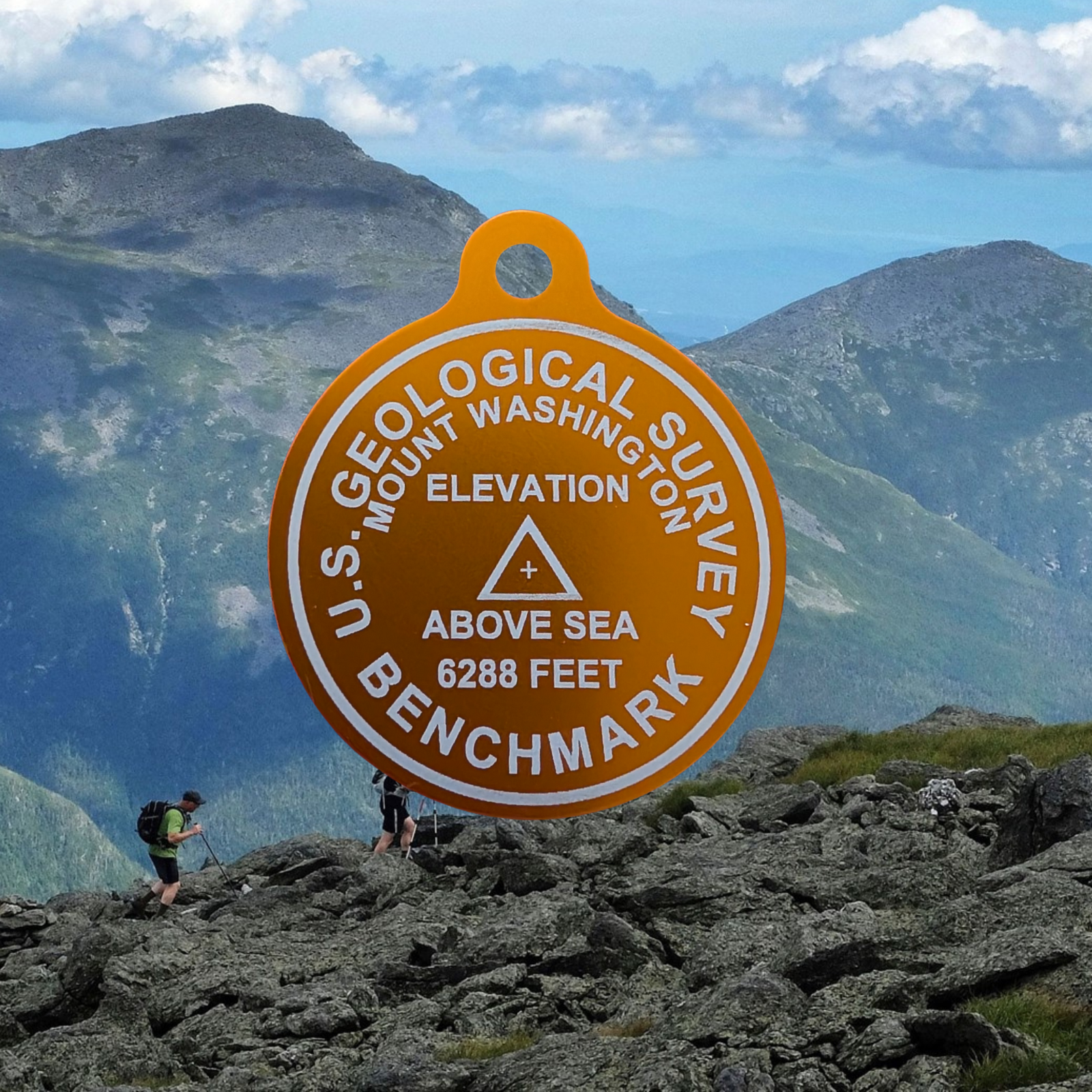 USGS Benchmark Tag - Image 9