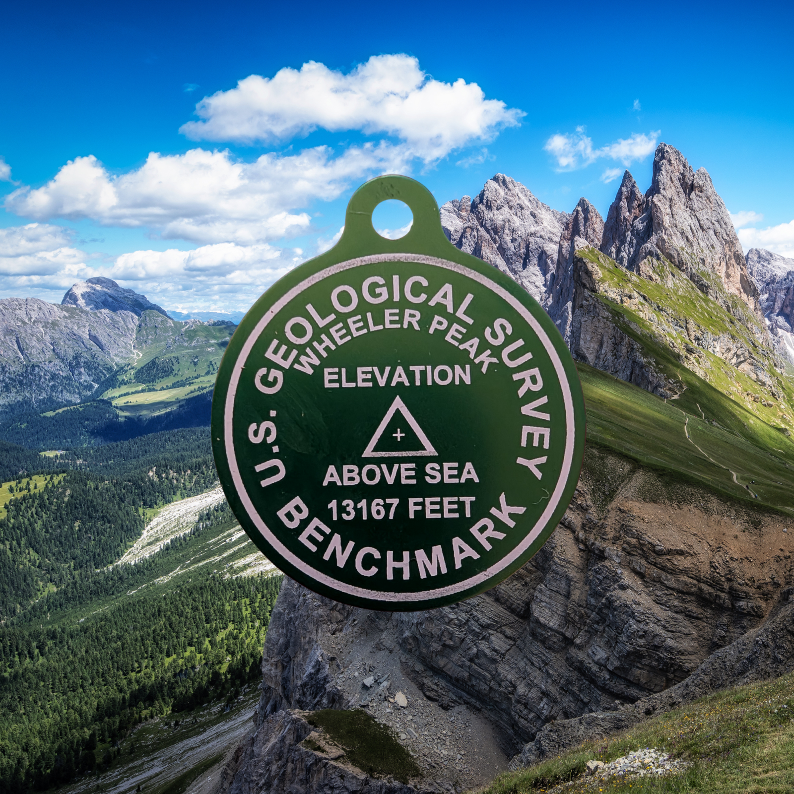 USGS Benchmark Tag - Image 4