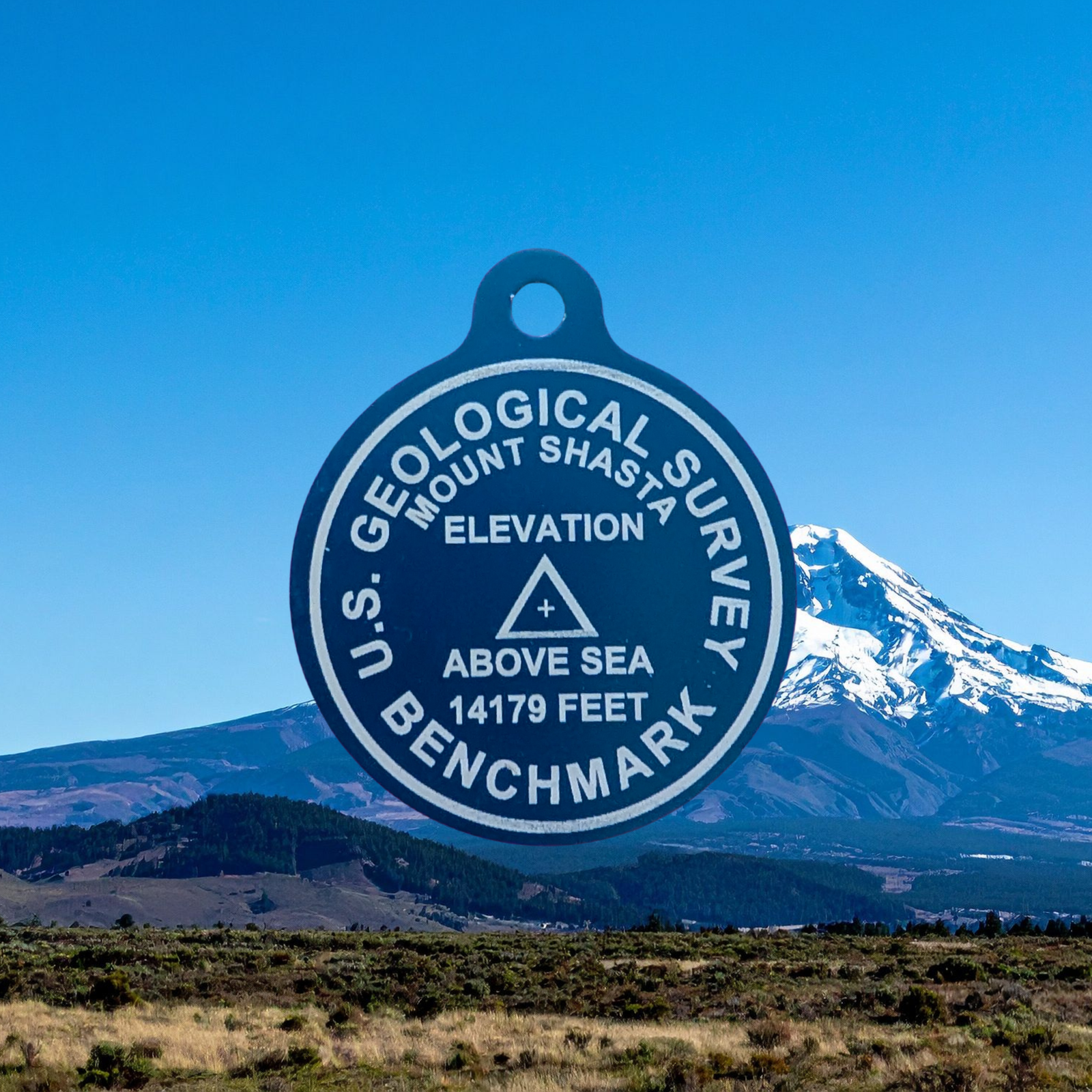 USGS Benchmark Tag - Image 5