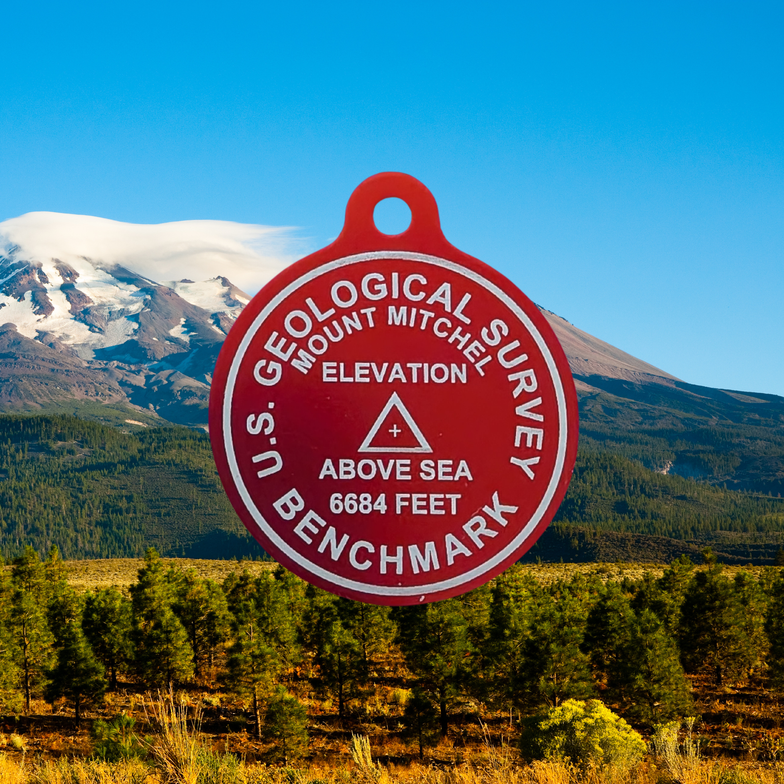 USGS Benchmark Tag - Image 6