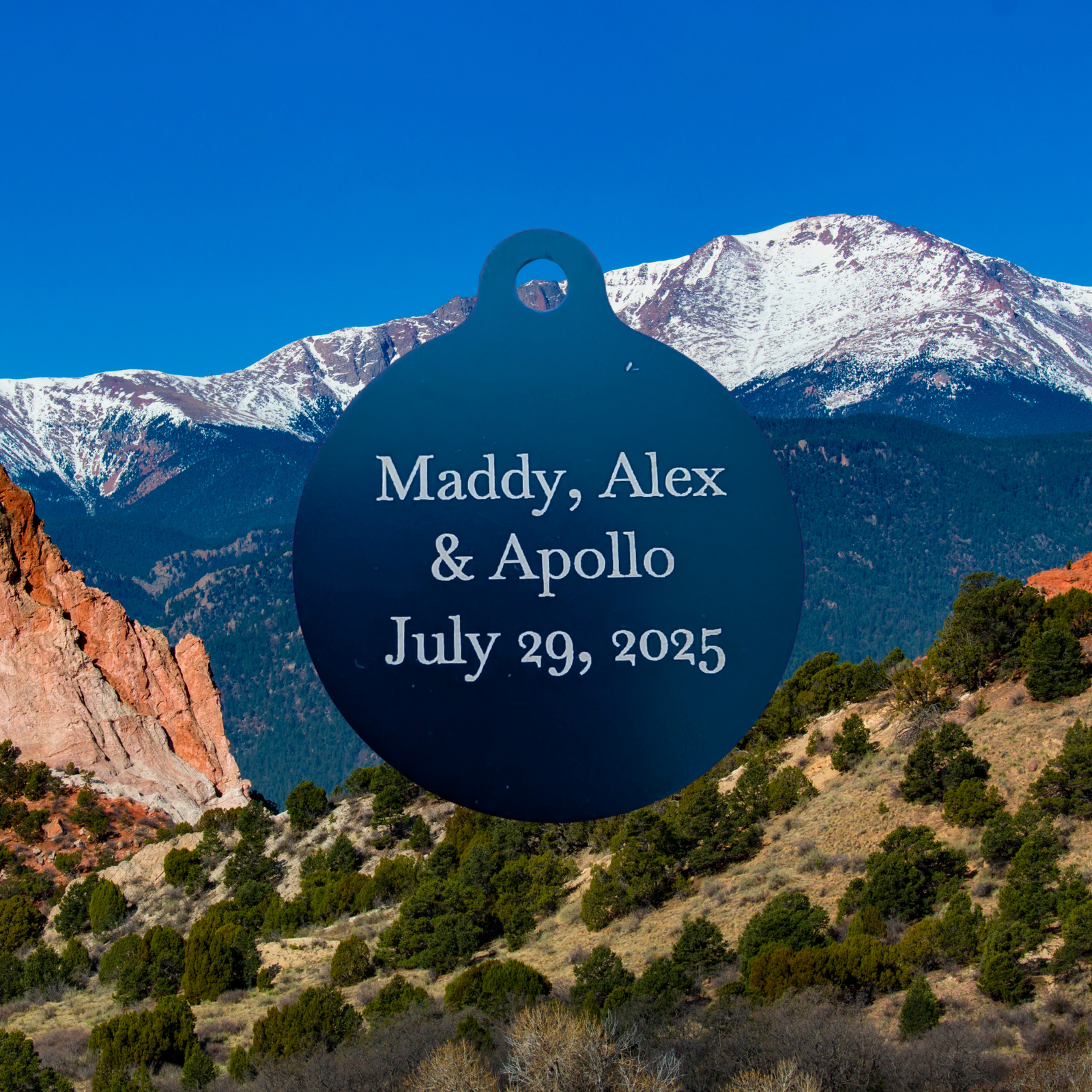 USGS Benchmark Tag - Image 7